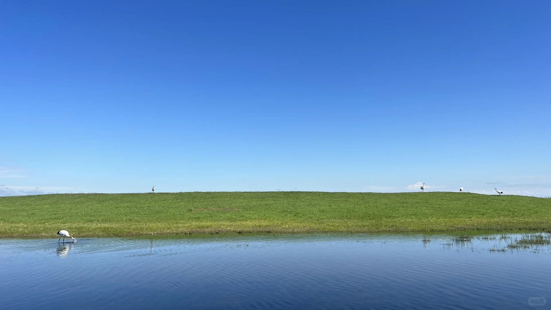 住扎龙景区，是齐齐哈尔之行最正确的决定