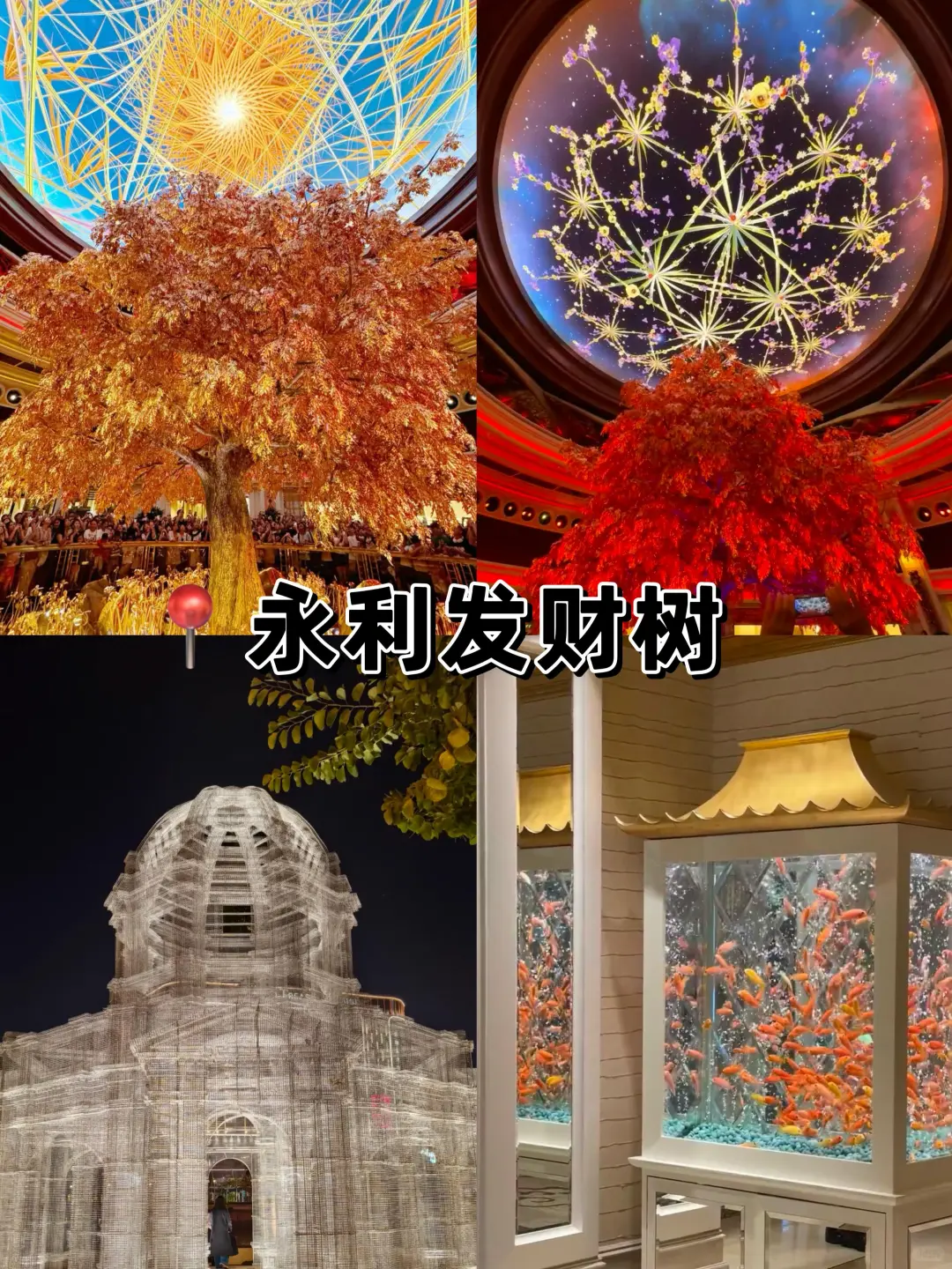 为什么我去澳门旅游之前没刷到这一篇