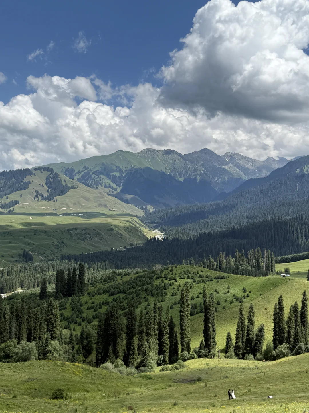 新疆归来，说说内蒙古和新疆的差异。