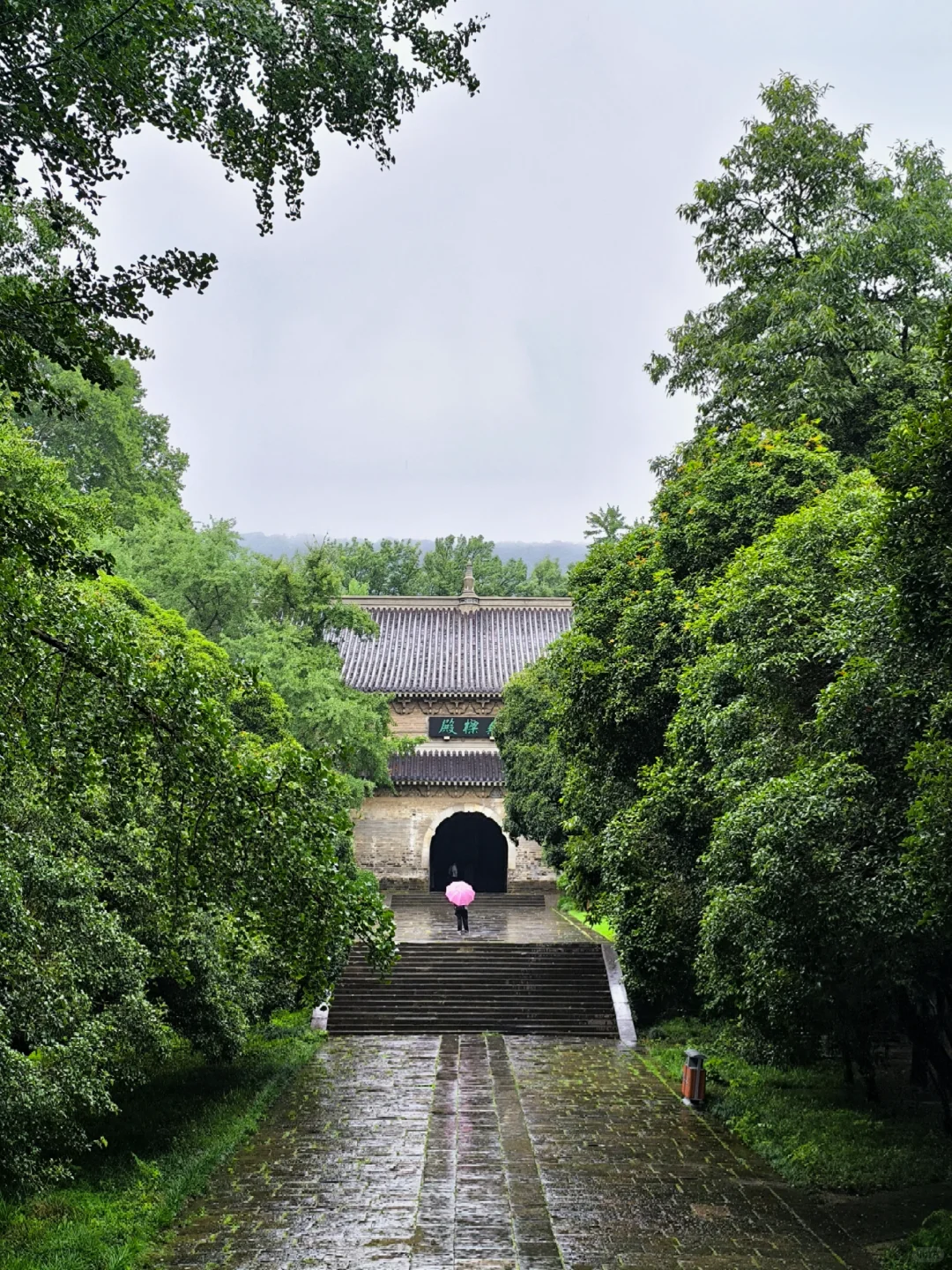 💥南京灵谷景区免费开放！连续5天！