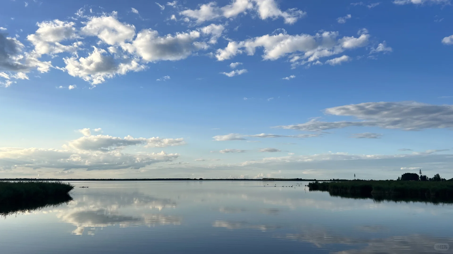 住扎龙景区，是齐齐哈尔之行最正确的决定