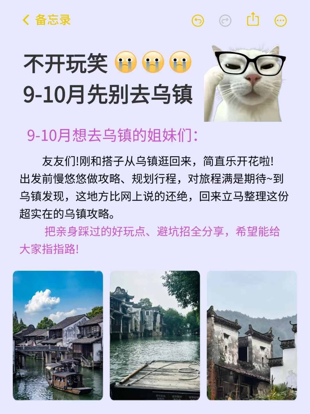 血泪总结！乌镇旅游避坑全攻略✨