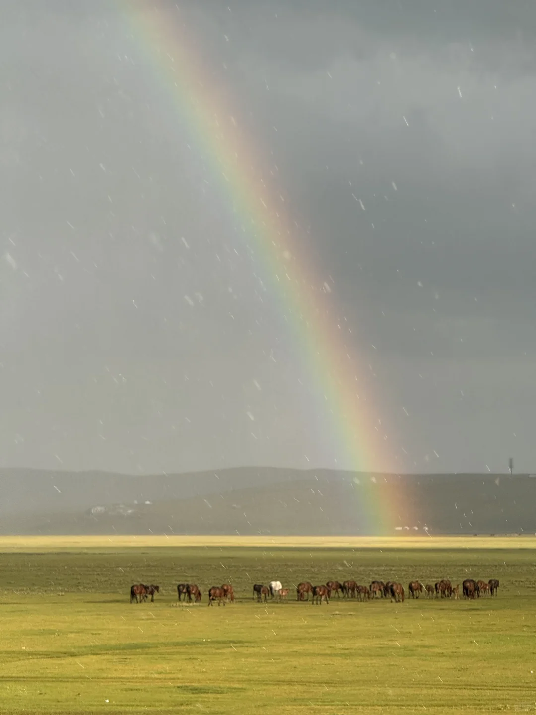 呼伦贝尔第一站，莫尔格勒河攻略，18张live图