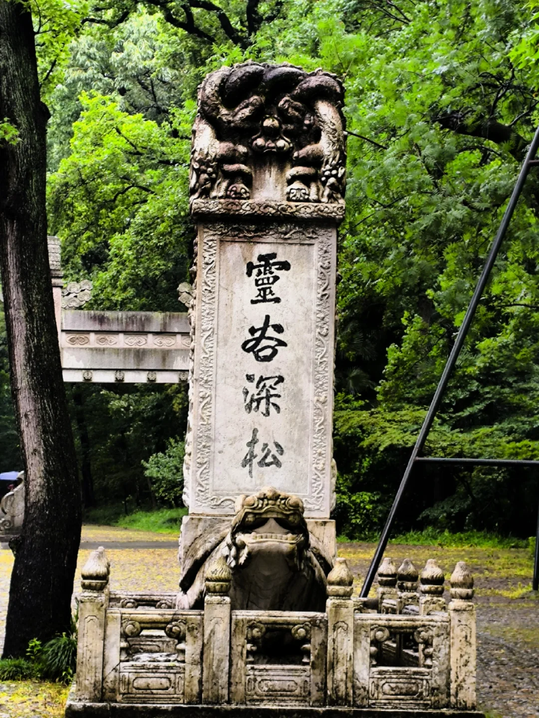 💥南京灵谷景区免费开放！连续5天！