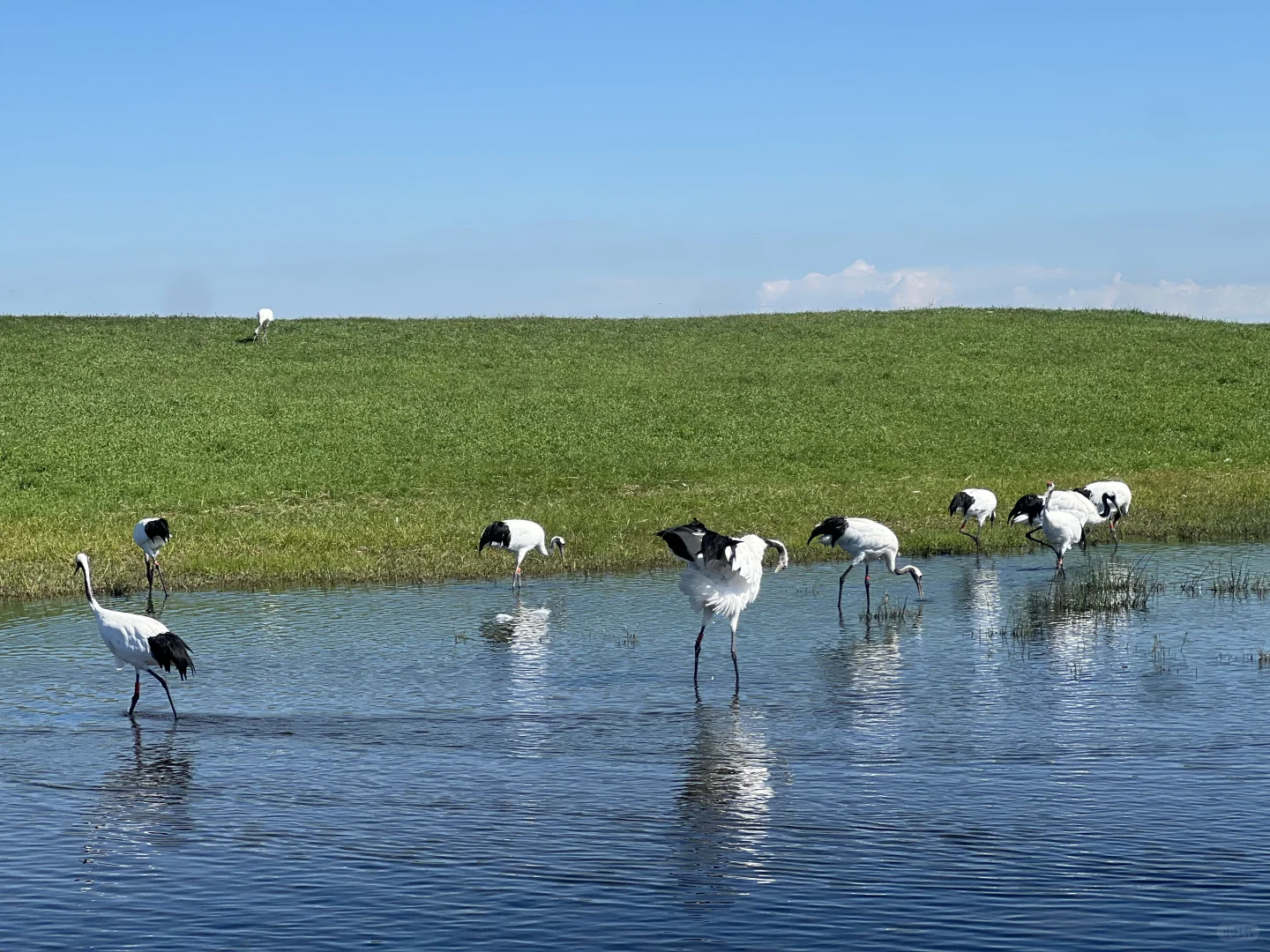 住扎龙景区，是齐齐哈尔之行最正确的决定