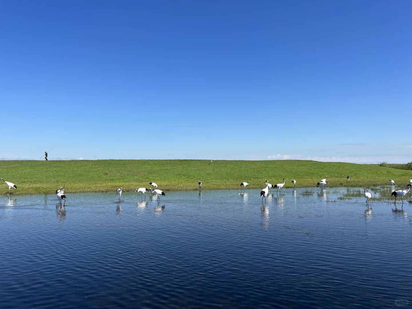 住扎龙景区，是齐齐哈尔之行最正确的决定