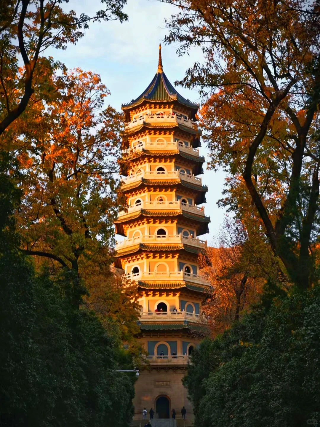 💥南京灵谷景区免费开放！连续5天！