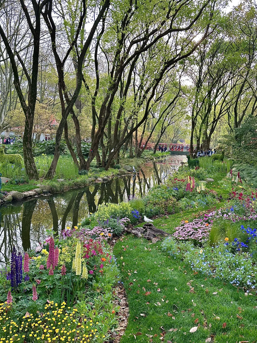 果然上海最好的地方都是免费的。。。。。