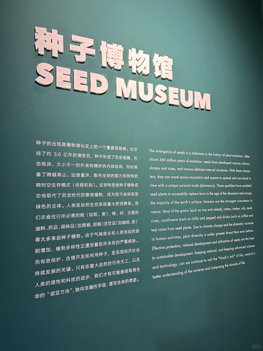 🌳昆明植物园扶荔宫 |昆明旅游必来景点❗