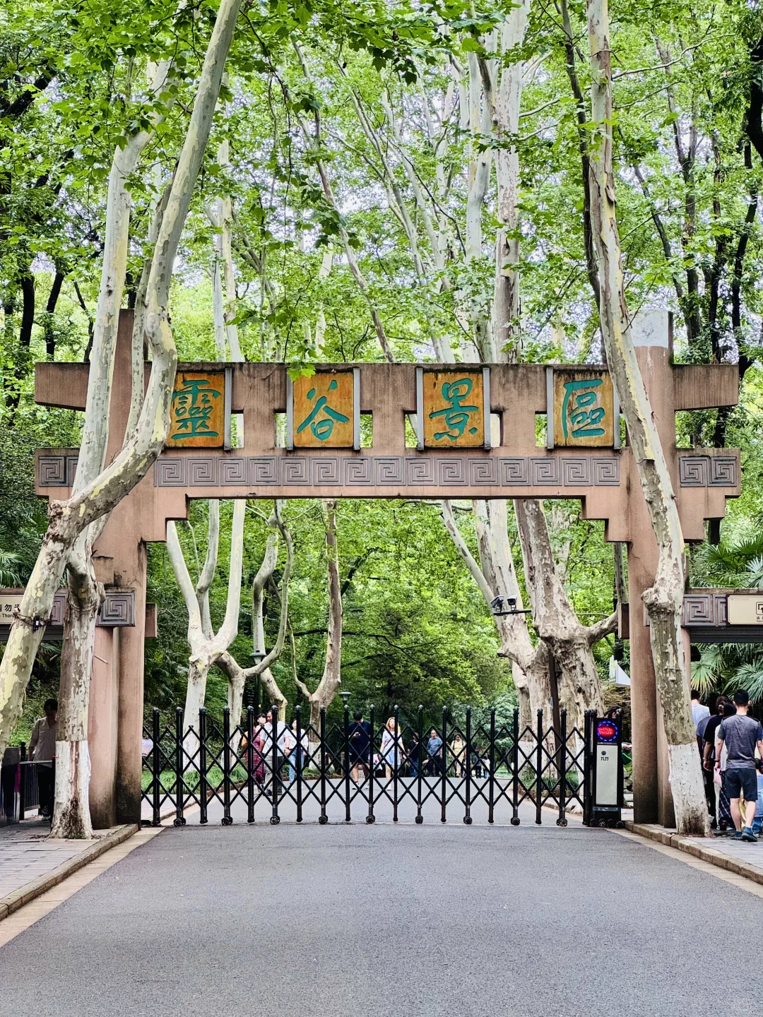 🔥南京灵谷景区9月免费开放日 | 攻略出来啦