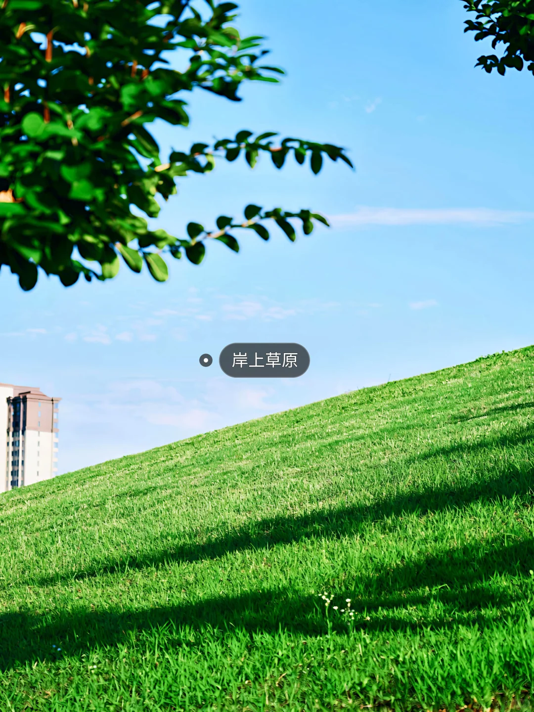 合肥必去十大景点