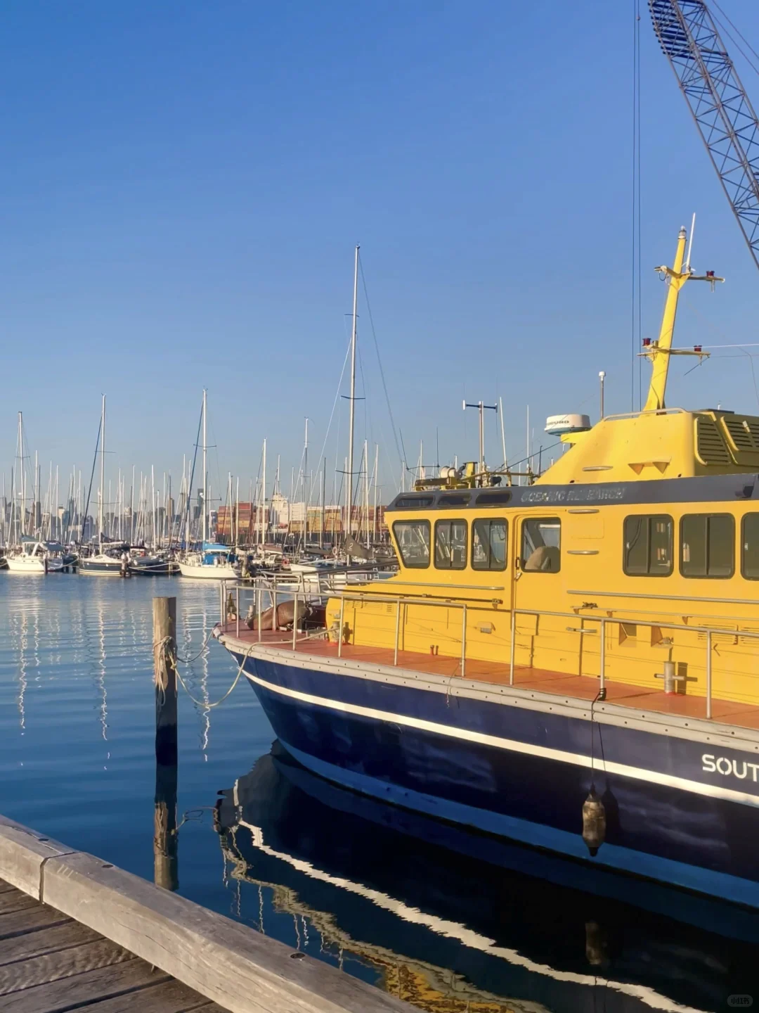 🇦🇺墨尔本｜Williamstown 的藍色好迷人👒