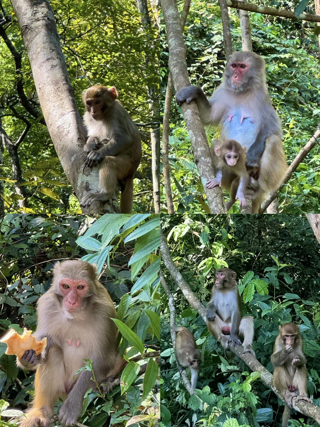 贺州📍被低估的小众旅游地｜国庆避开人流