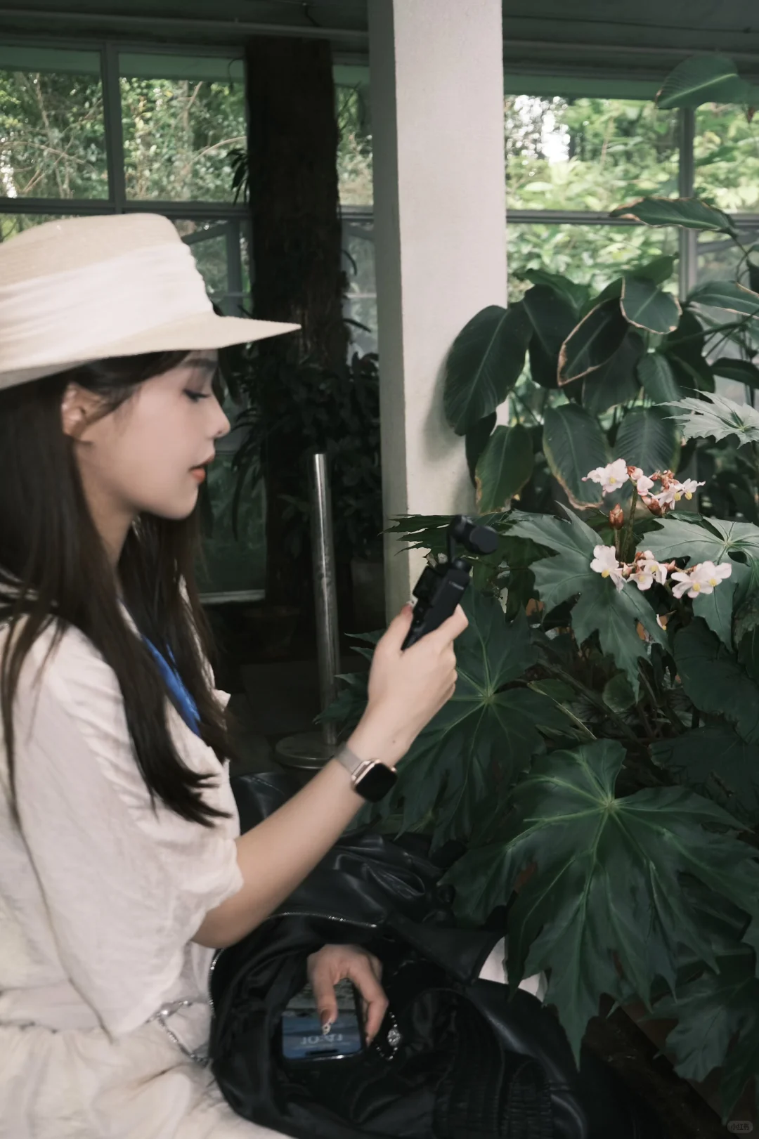 🌳昆明植物园扶荔宫 |昆明旅游必来景点❗