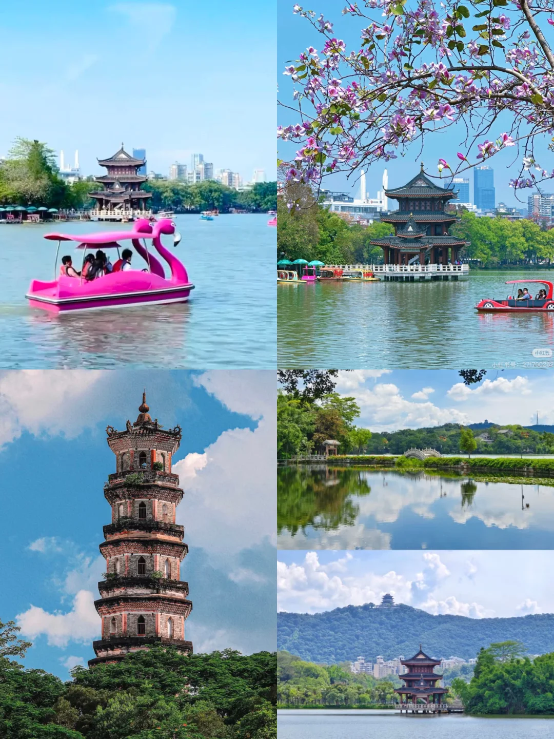 惠州周末游！本地人游玩逛吃版！打卡走起～