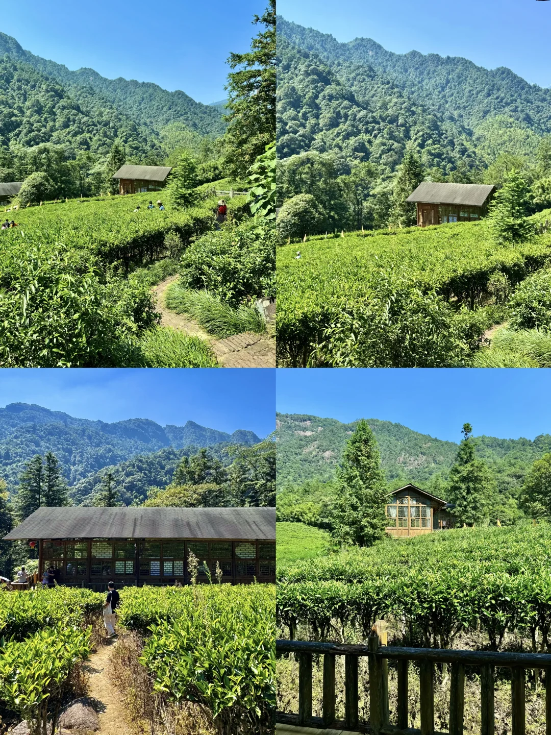 贺州📍被低估的小众旅游地｜国庆避开人流