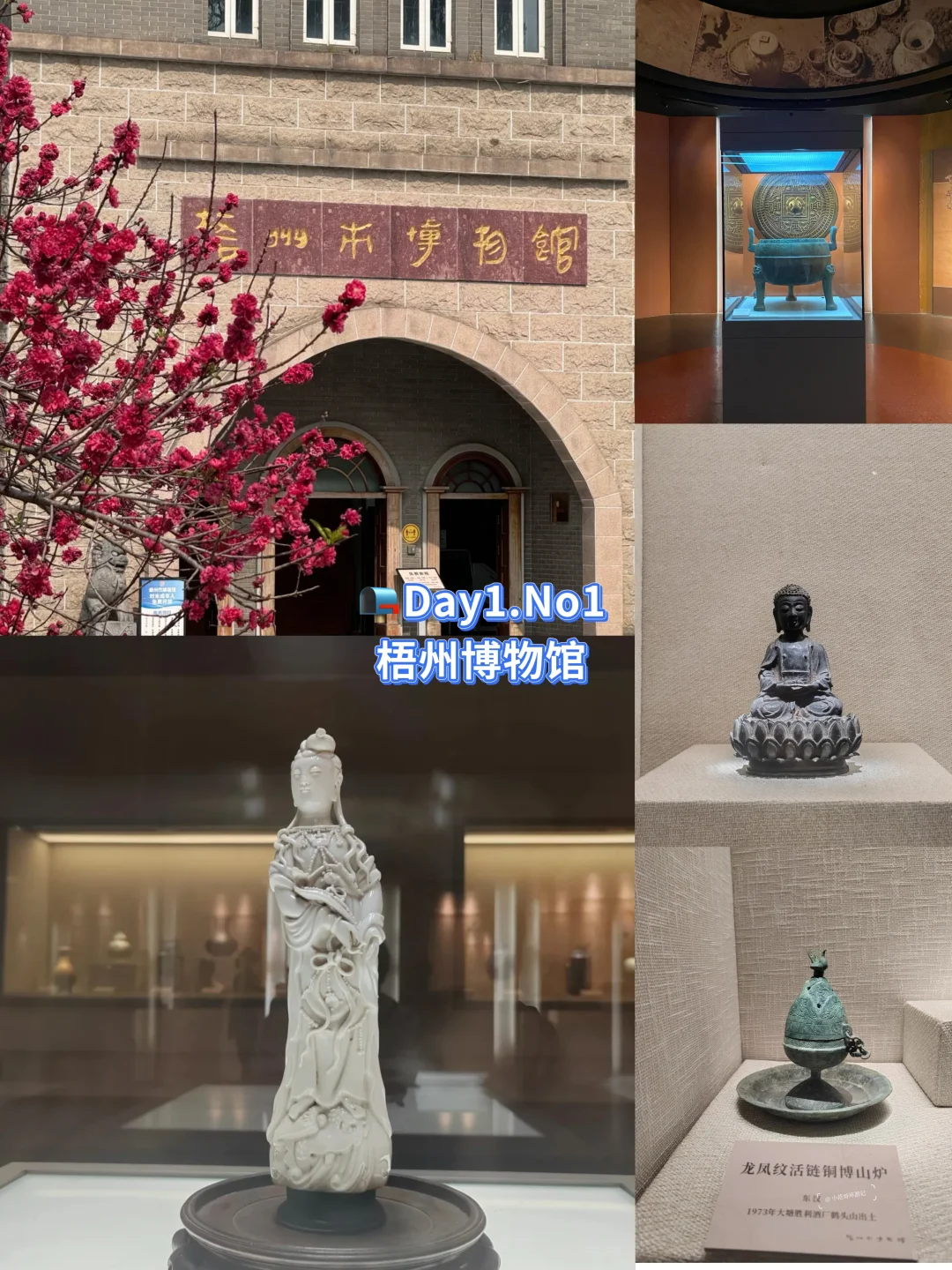 一年去100座城市📮73站📍梧州旅游必打卡✅