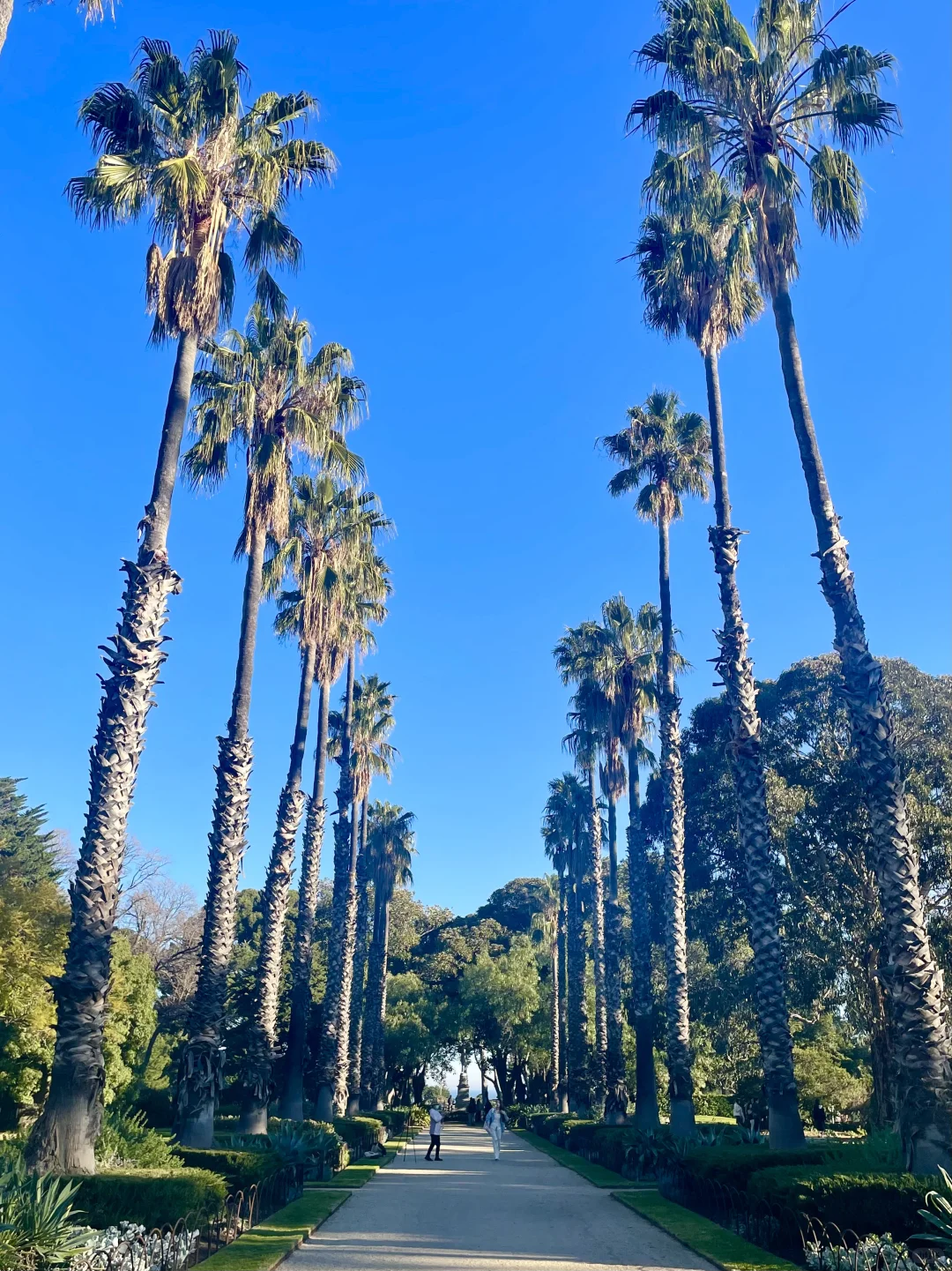 🇦🇺墨尔本｜Williamstown 的藍色好迷人👒