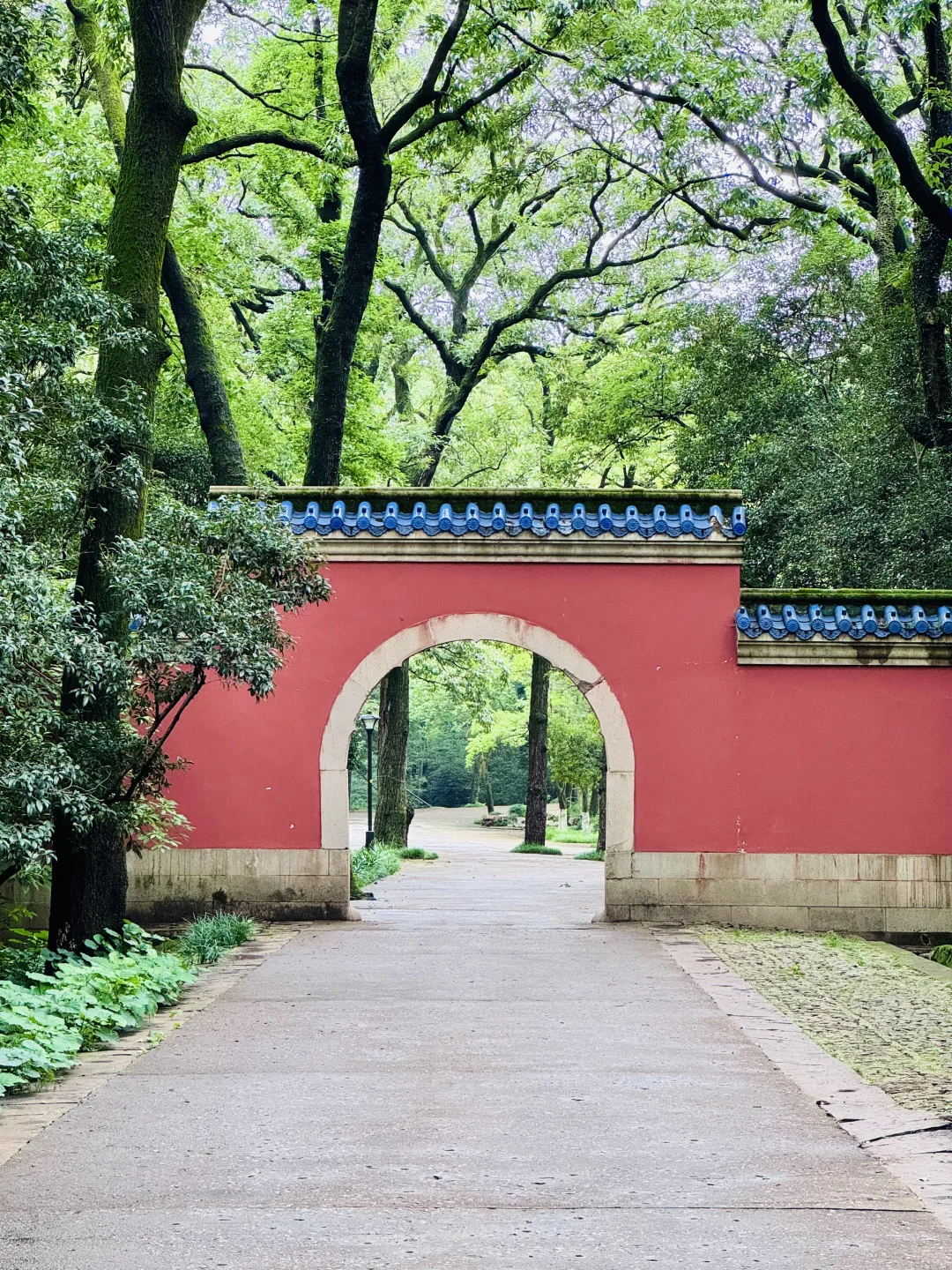 🔥南京灵谷景区9月免费开放日 | 攻略出来啦