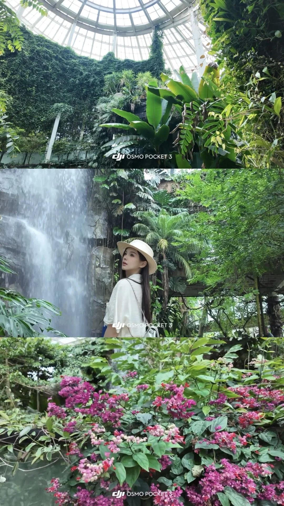 🌳昆明植物园扶荔宫 |昆明旅游必来景点❗