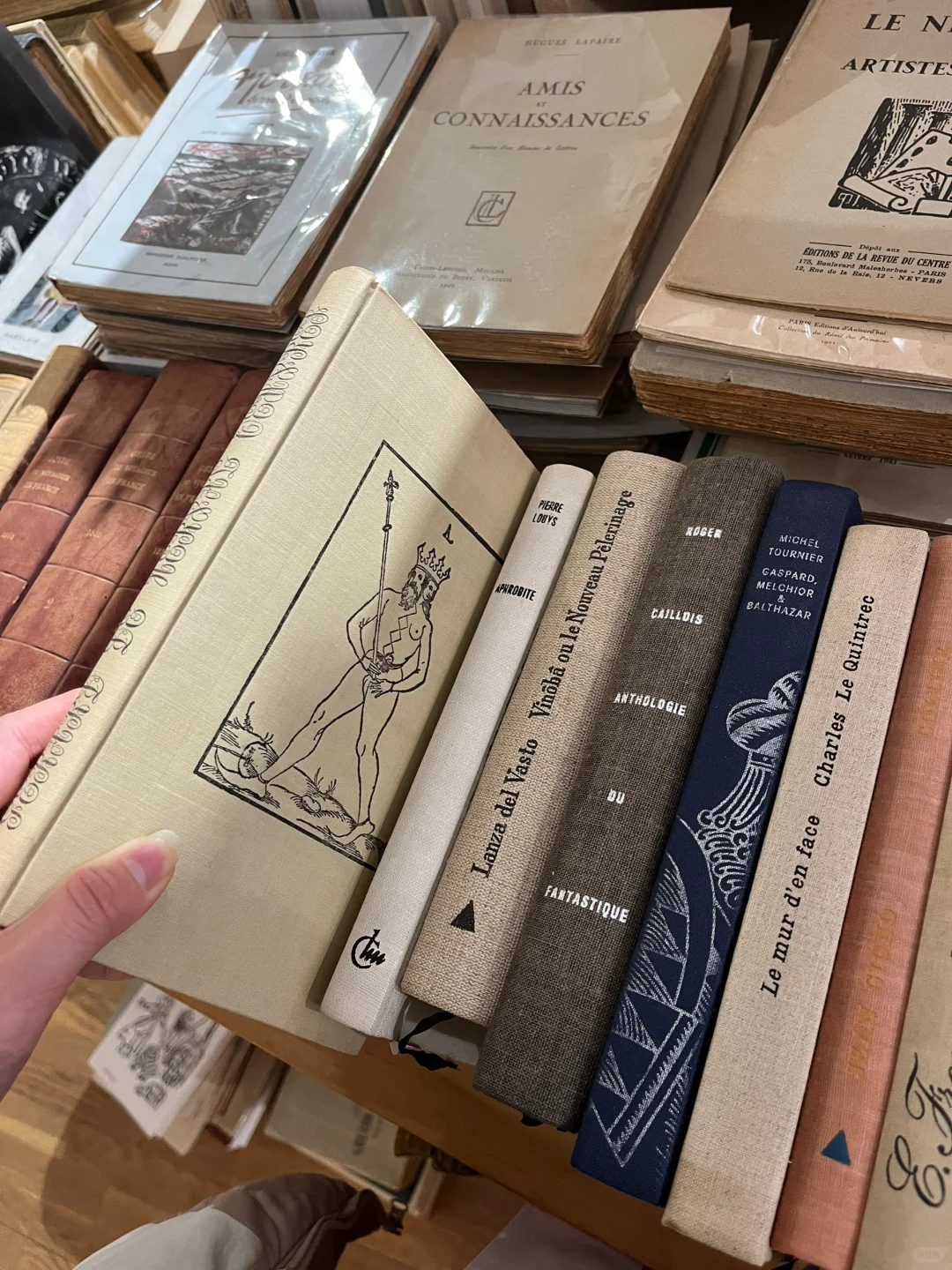 🇫🇷法国温泉小镇维希Vichy漫步指南