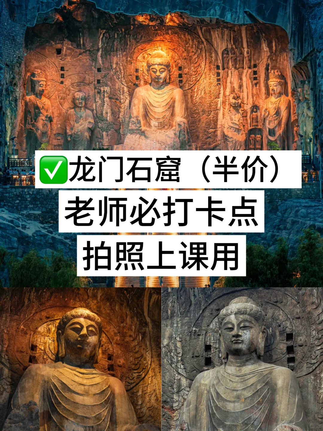 洛阳！你对有教师资格证的人也太友好了吧！