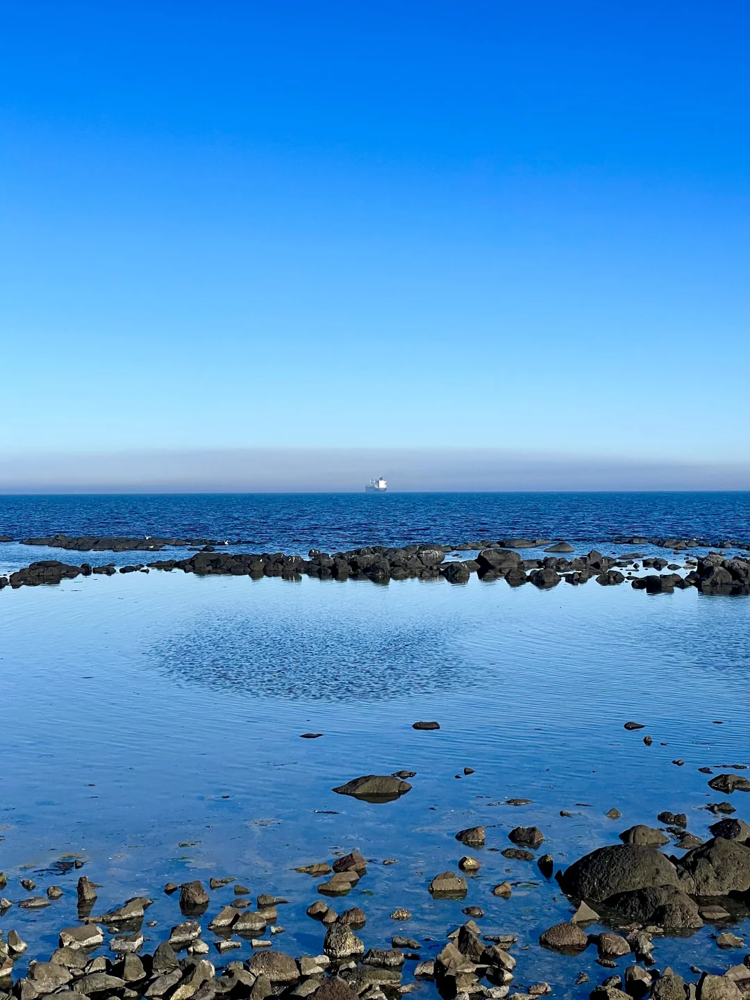 🇦🇺墨尔本｜Williamstown 的藍色好迷人👒