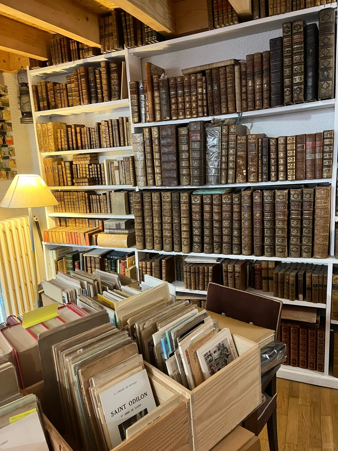 🇫🇷法国温泉小镇维希Vichy漫步指南