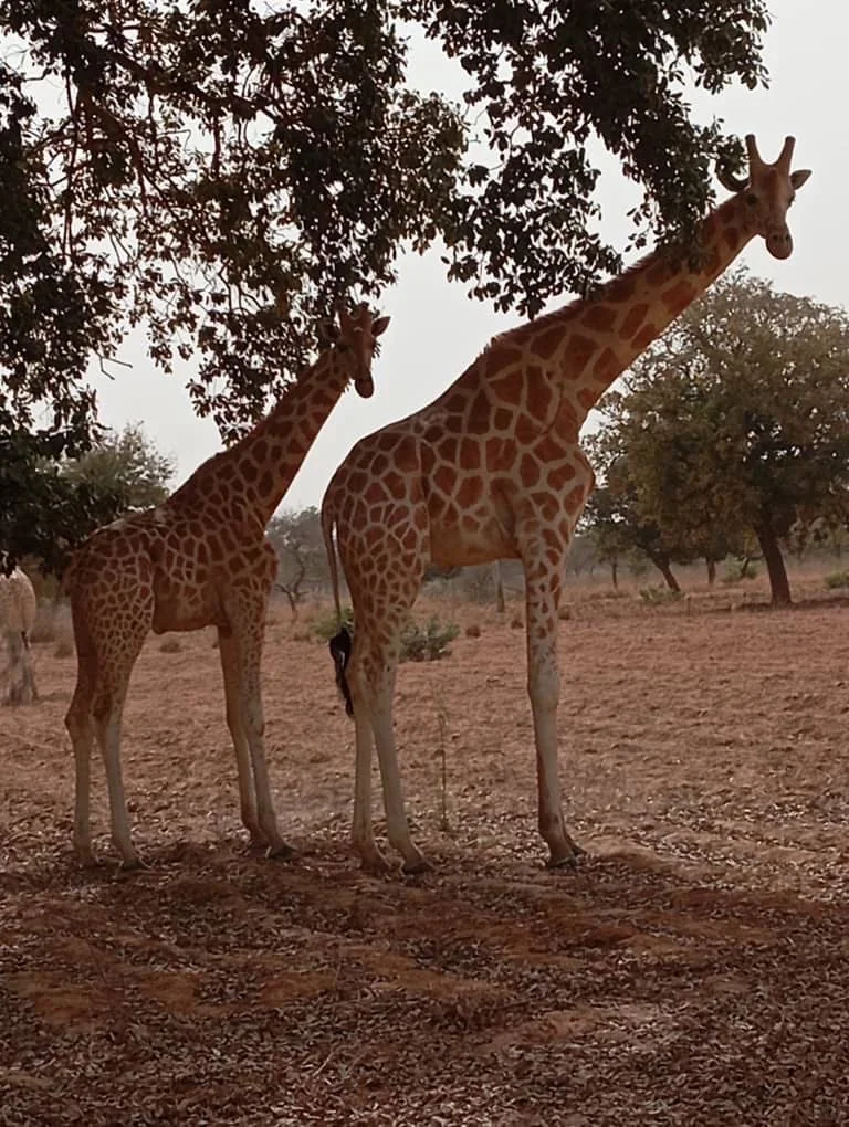 想看看国外的风景照
