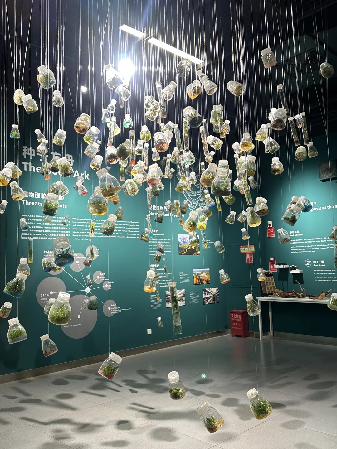 🌳昆明植物园扶荔宫 |昆明旅游必来景点❗