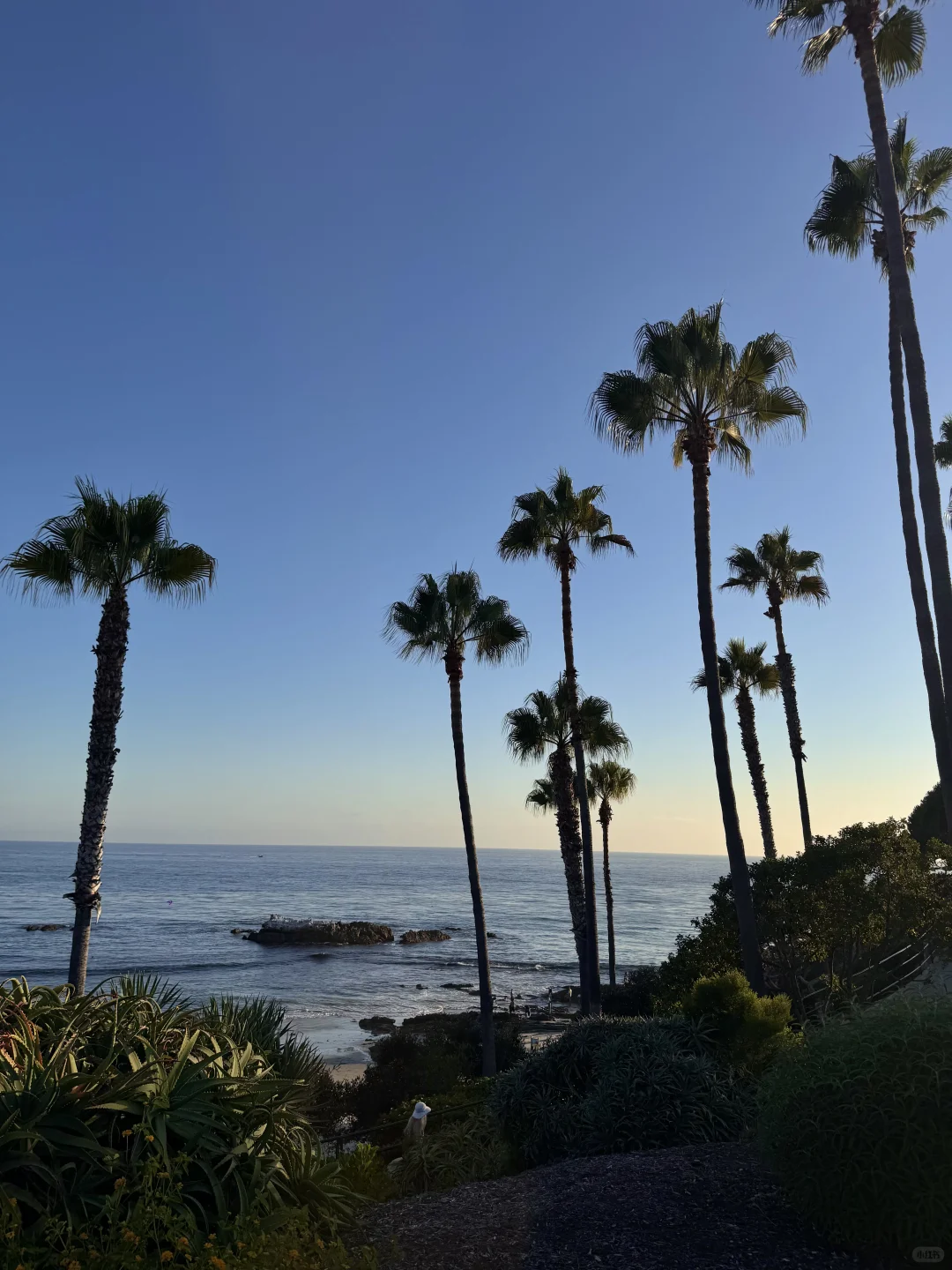 🌊洛杉矶拉古纳海滩｜闯入现实版“浪漫结界”