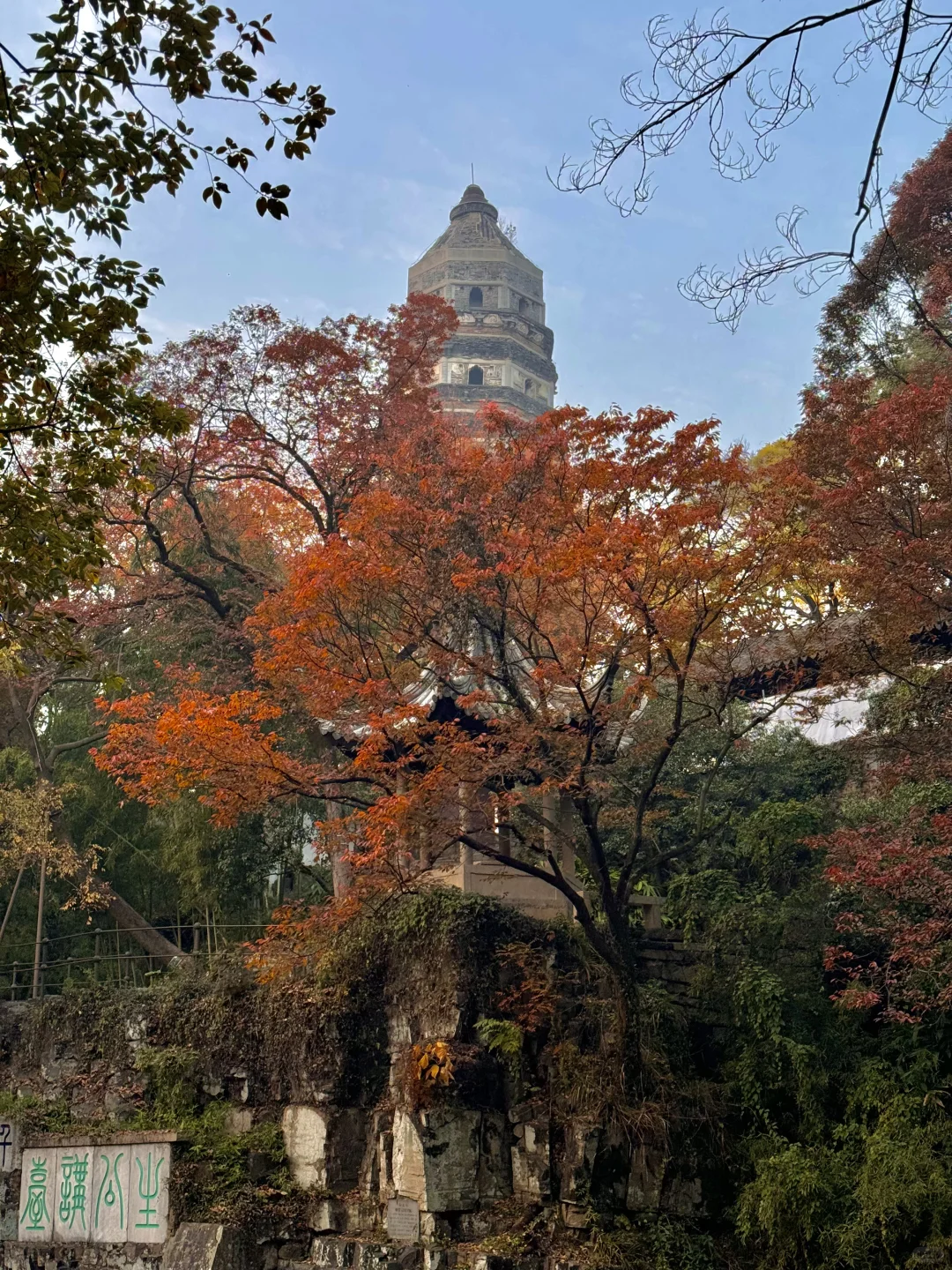 可惜你不来苏州❗️不知姑苏得秋天有多震撼