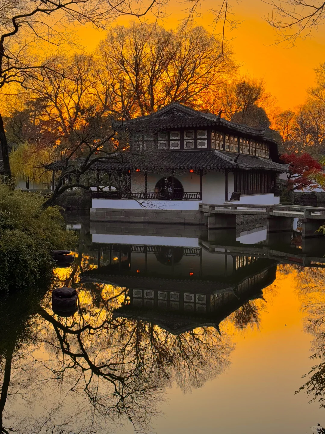 可惜你不来苏州❗️不知姑苏得秋天有多震撼