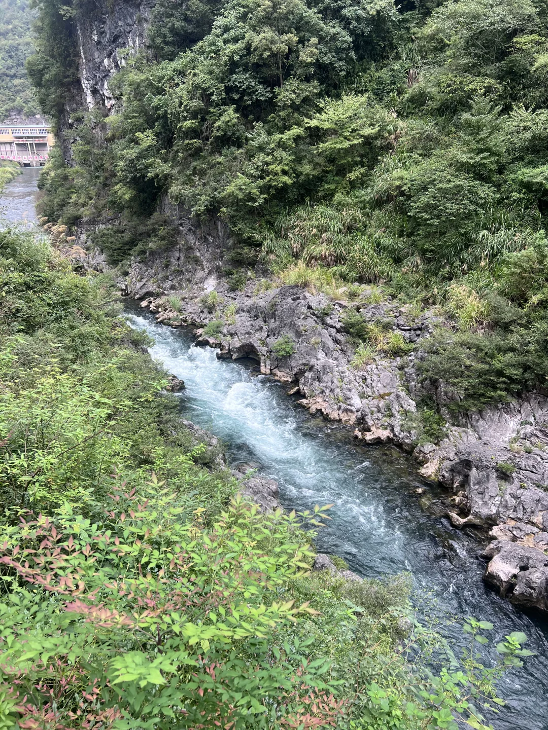 怎么会有这么美的地方！！！🙀🙀🙀