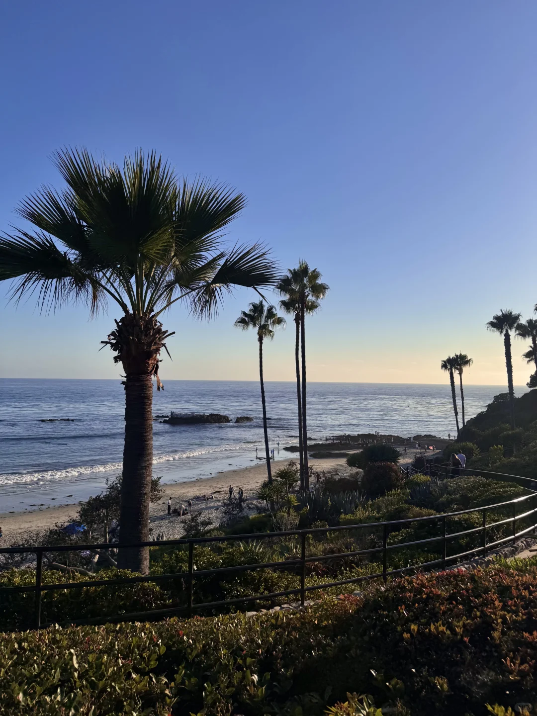 🌊洛杉矶拉古纳海滩｜闯入现实版“浪漫结界”