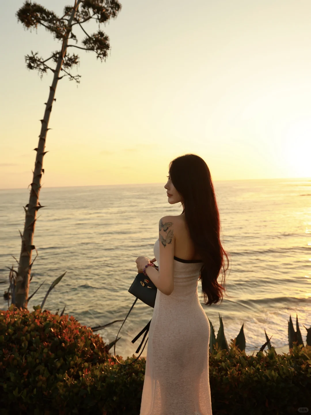 🌊洛杉矶拉古纳海滩｜闯入现实版“浪漫结界”