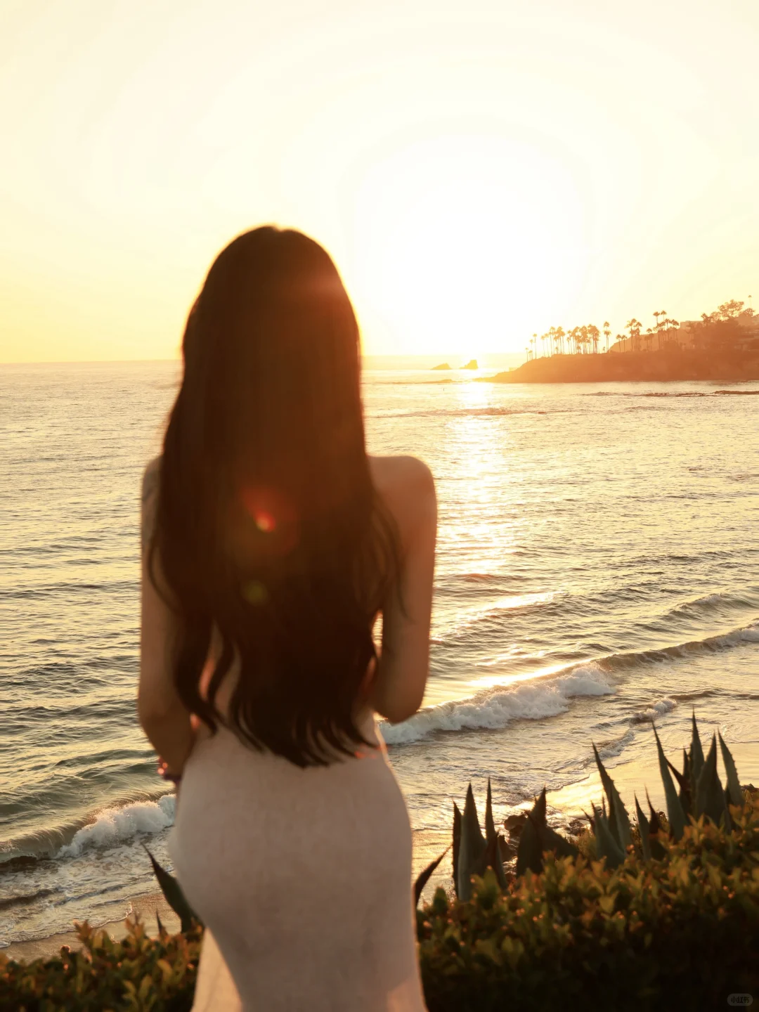 🌊洛杉矶拉古纳海滩｜闯入现实版“浪漫结界”