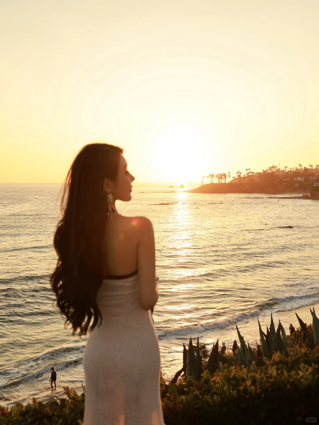 🌊洛杉矶拉古纳海滩｜闯入现实版“浪漫结界”