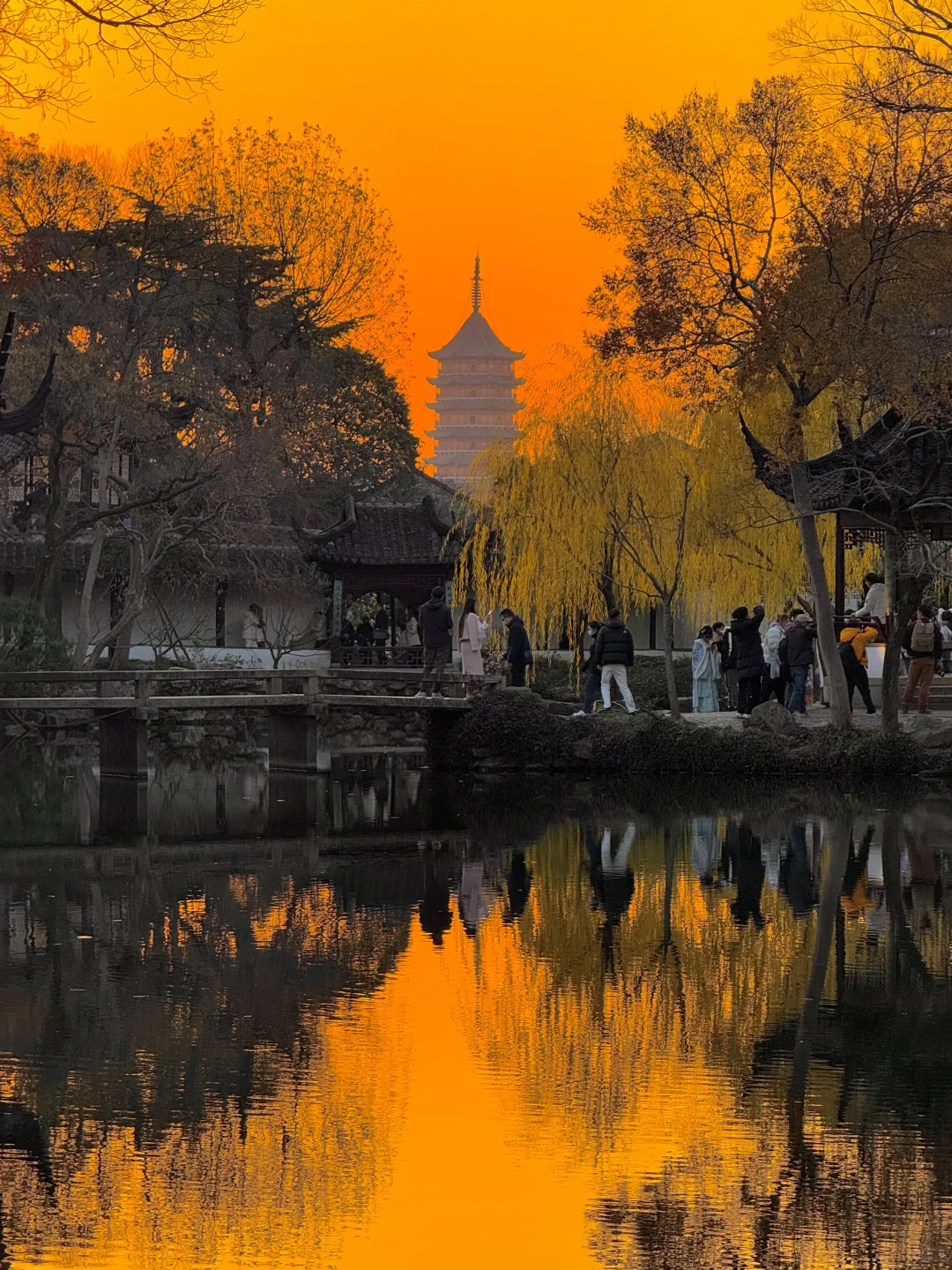 可惜你不来苏州❗️不知姑苏得秋天有多震撼