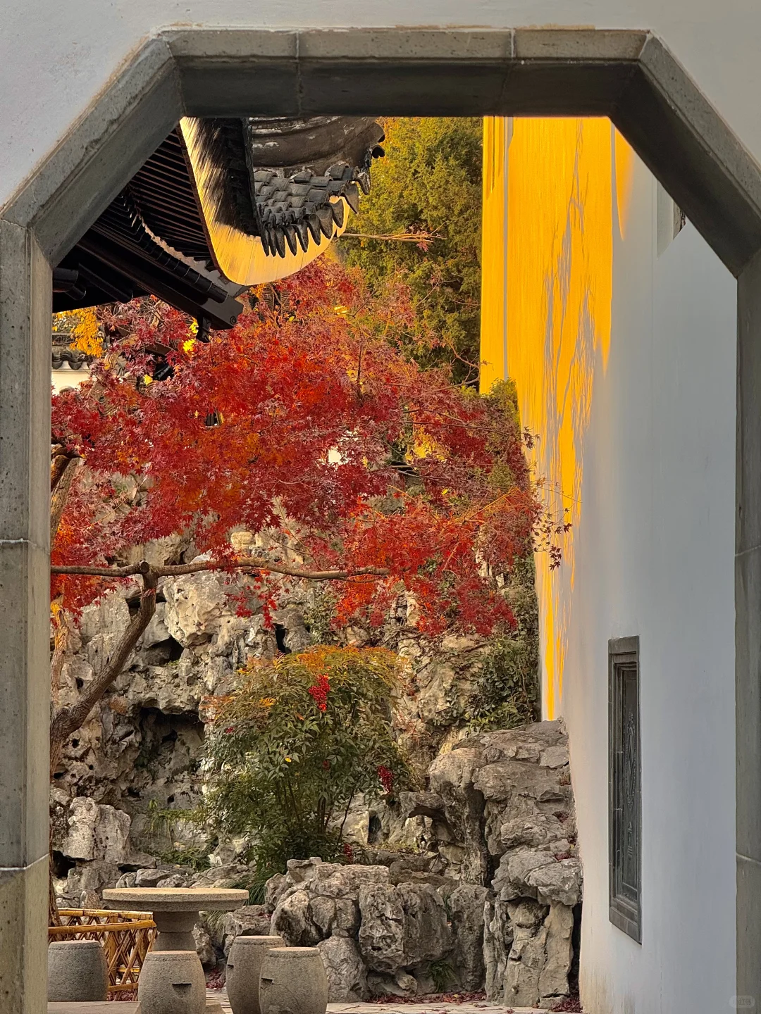 可惜你不来苏州❗️不知姑苏得秋天有多震撼