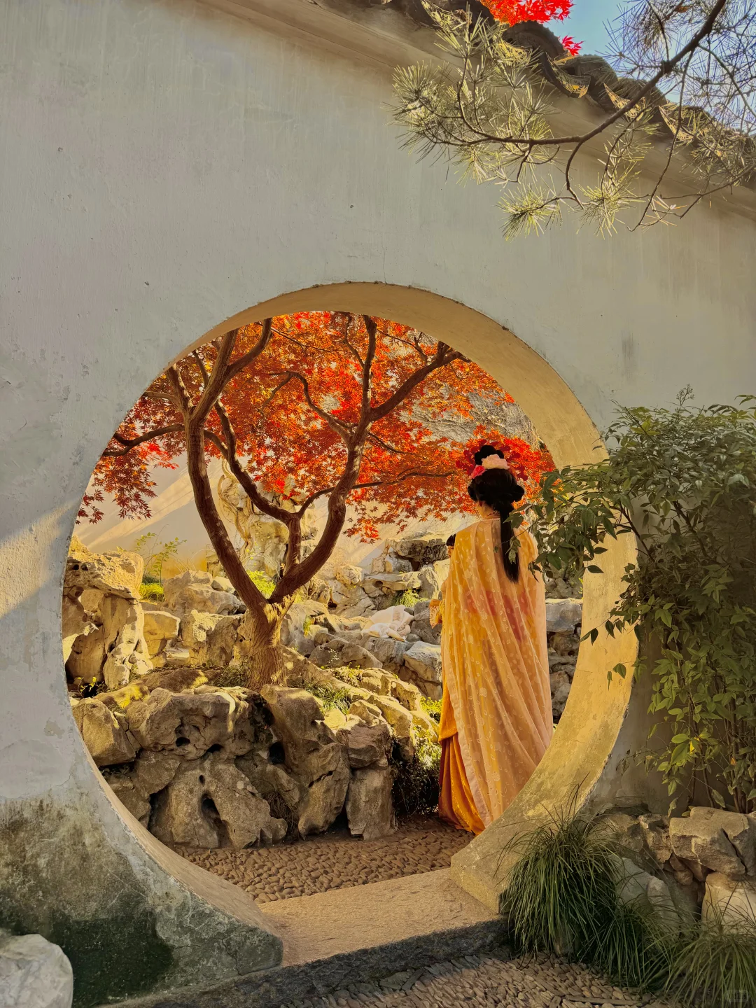 可惜你不来苏州❗️不知姑苏得秋天有多震撼