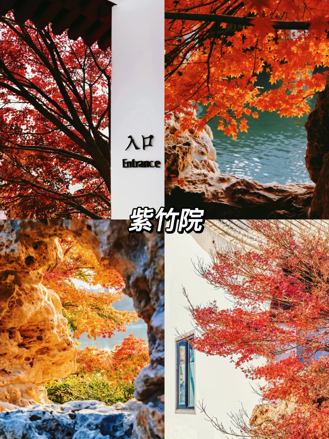 北京秋天一定要去的8️⃣个地方!