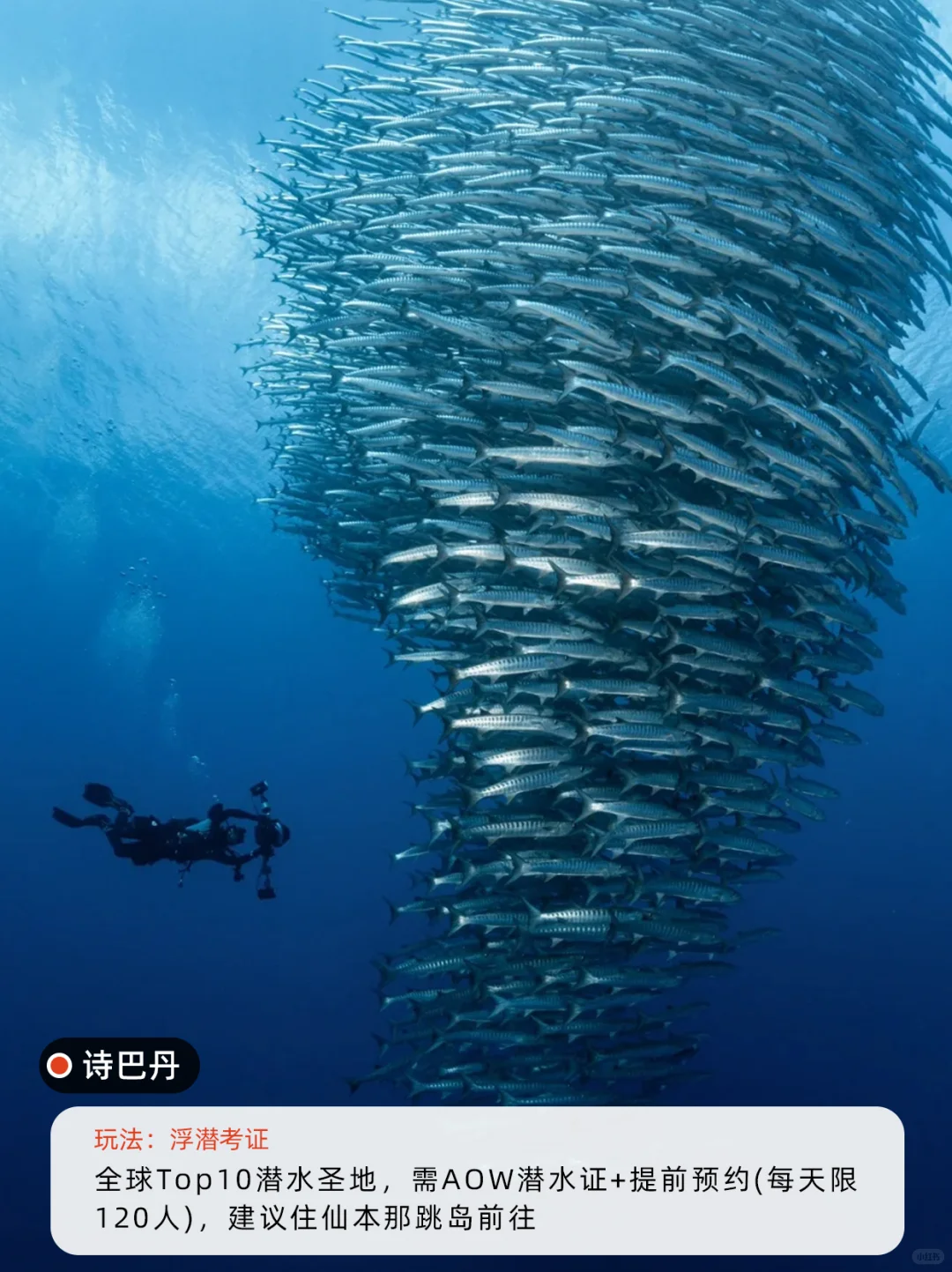 马来西亚丨必打卡🔥9大景点(附路线)