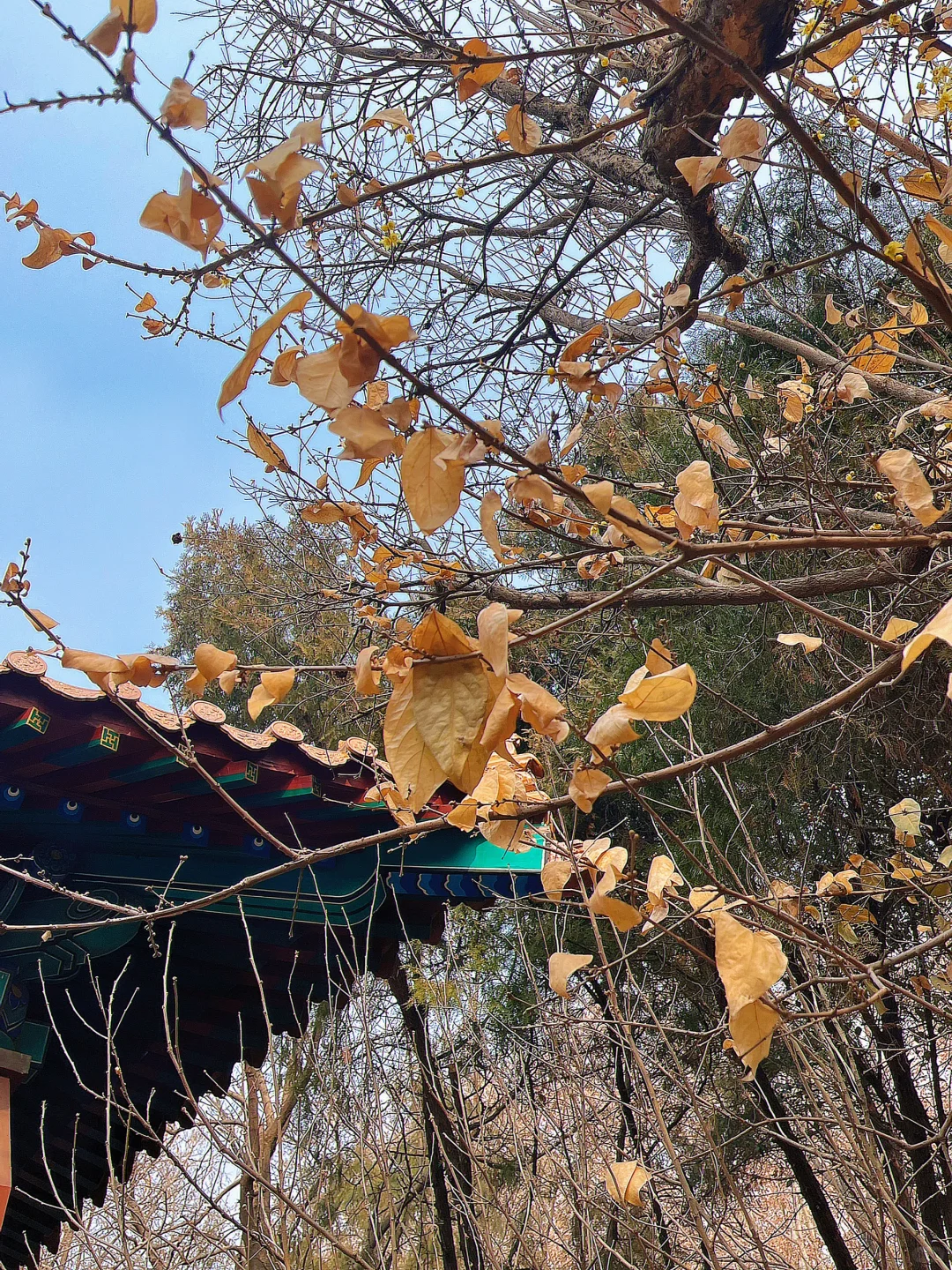 历史古迹｜浅浅一日游～5人仅300¥