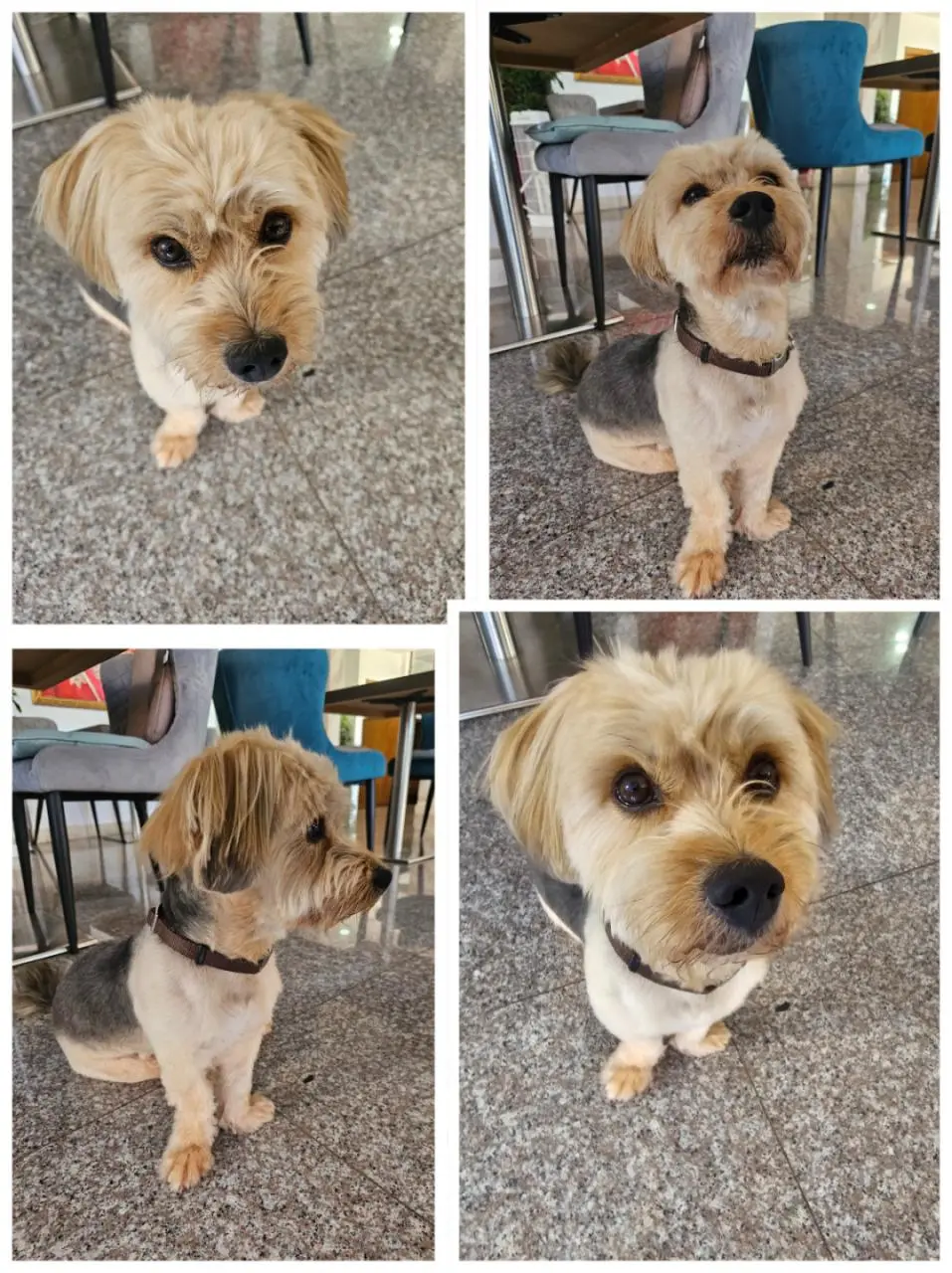 冷门免签东欧3国，4-6人小团1w直接冲塞波黑