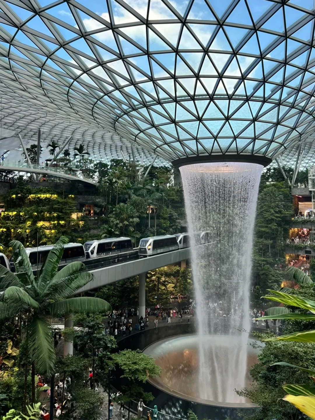 新加坡根本不是网上说的那样…😭