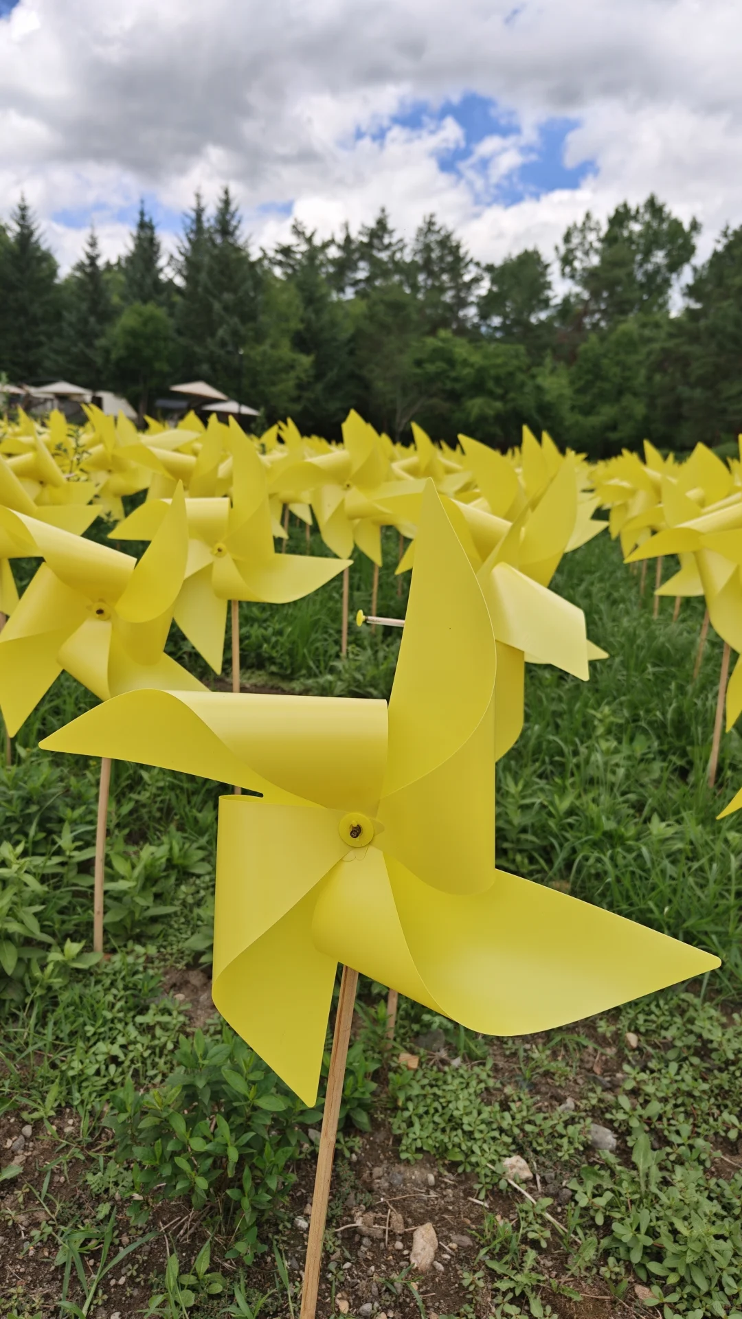 长白山北坡二道白河九月自由行旅游玩攻略