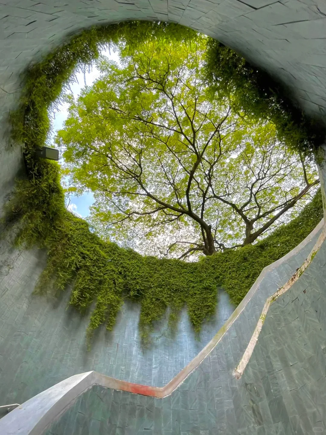 新加坡根本不是网上说的那样…😭