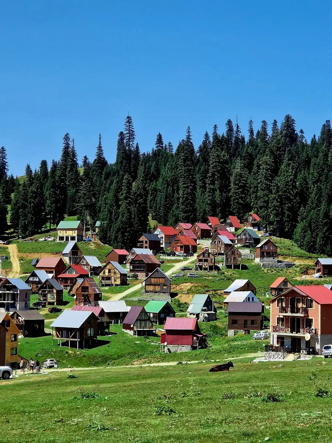 预计免签的格鲁吉亚会成为今年的顶流！！