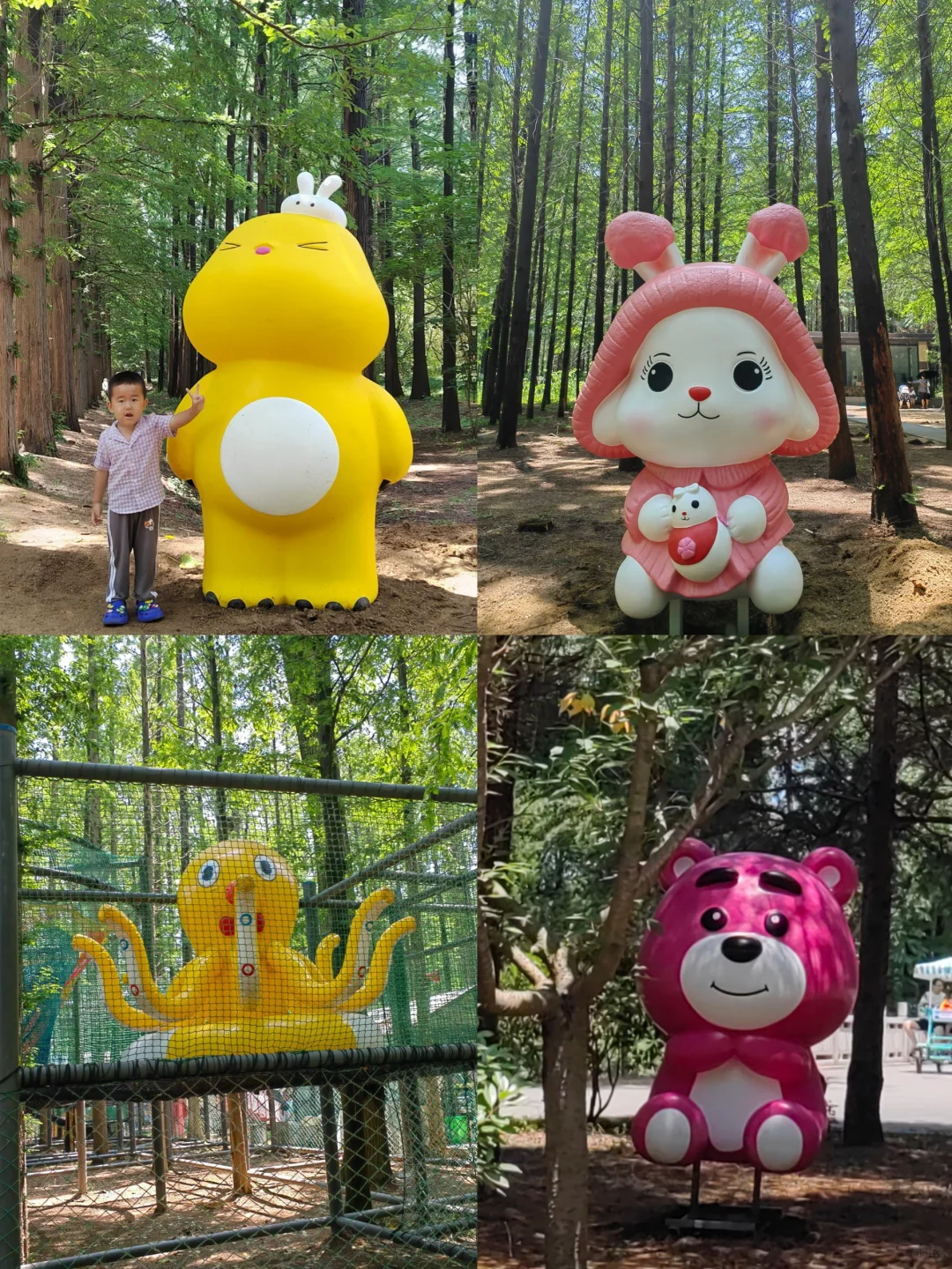 不接受反驳,国家森林公园是日照景点顶流!